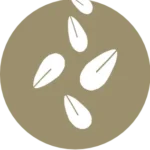 Icono alérgeno sésamo